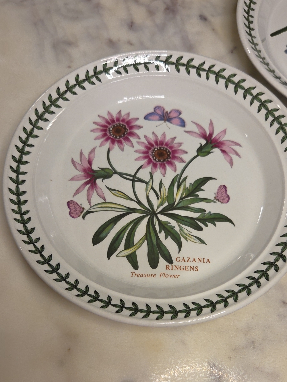 Vintage Portmeirion The Botanic Garden Floral Salad Plates 1972 | Britian Set 4 - Picture 5 of 13